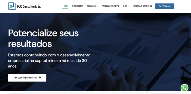 puc-consultoria-jr